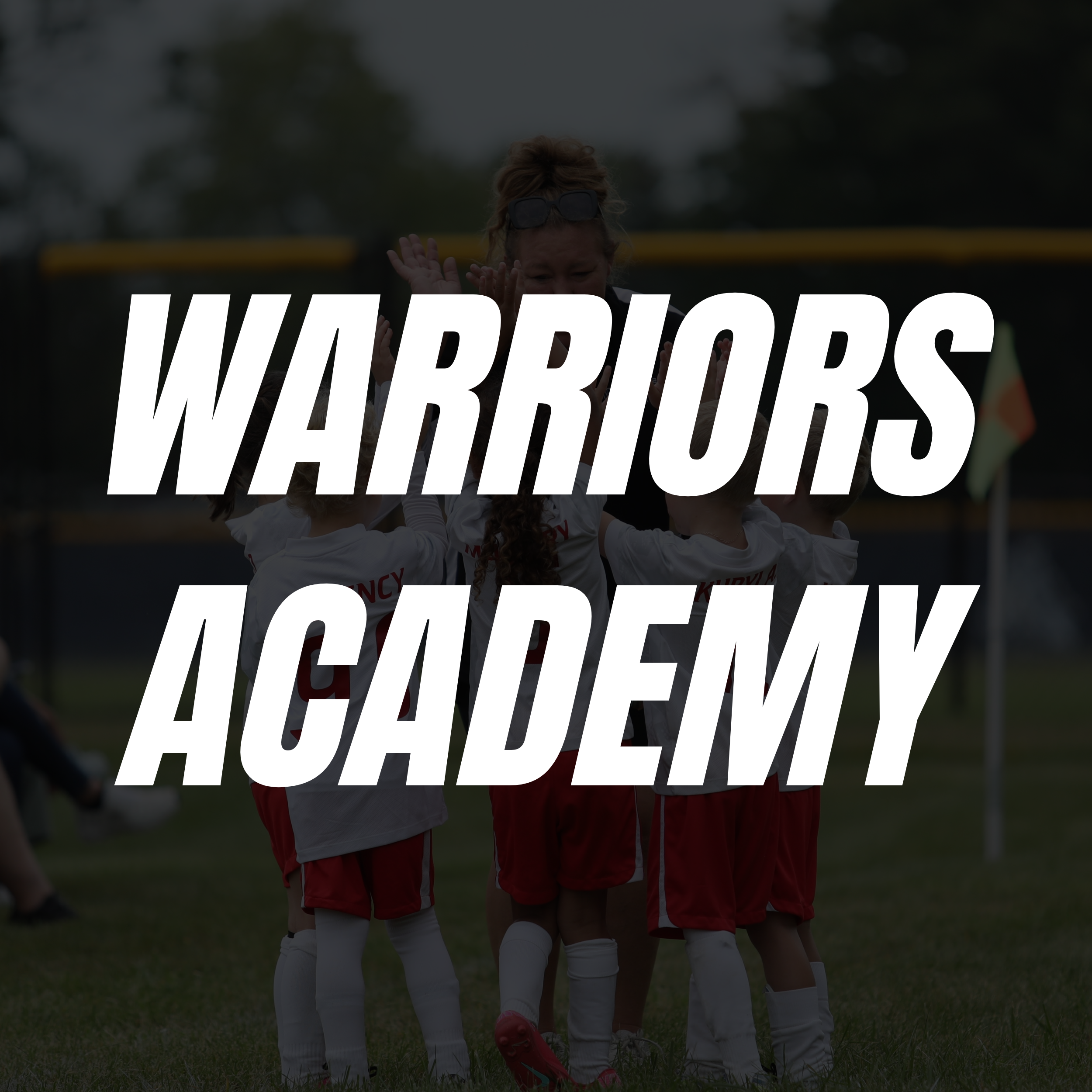 WARRIORS ACADEMY